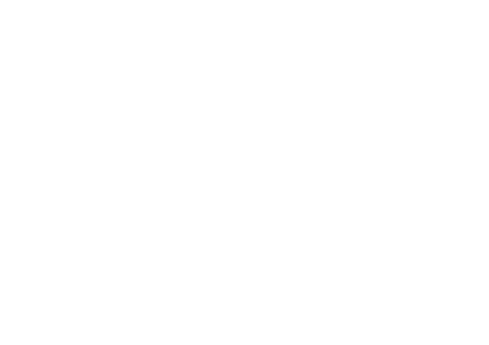 Ski Paradise